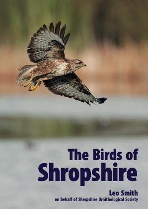 BirdsofShropshire